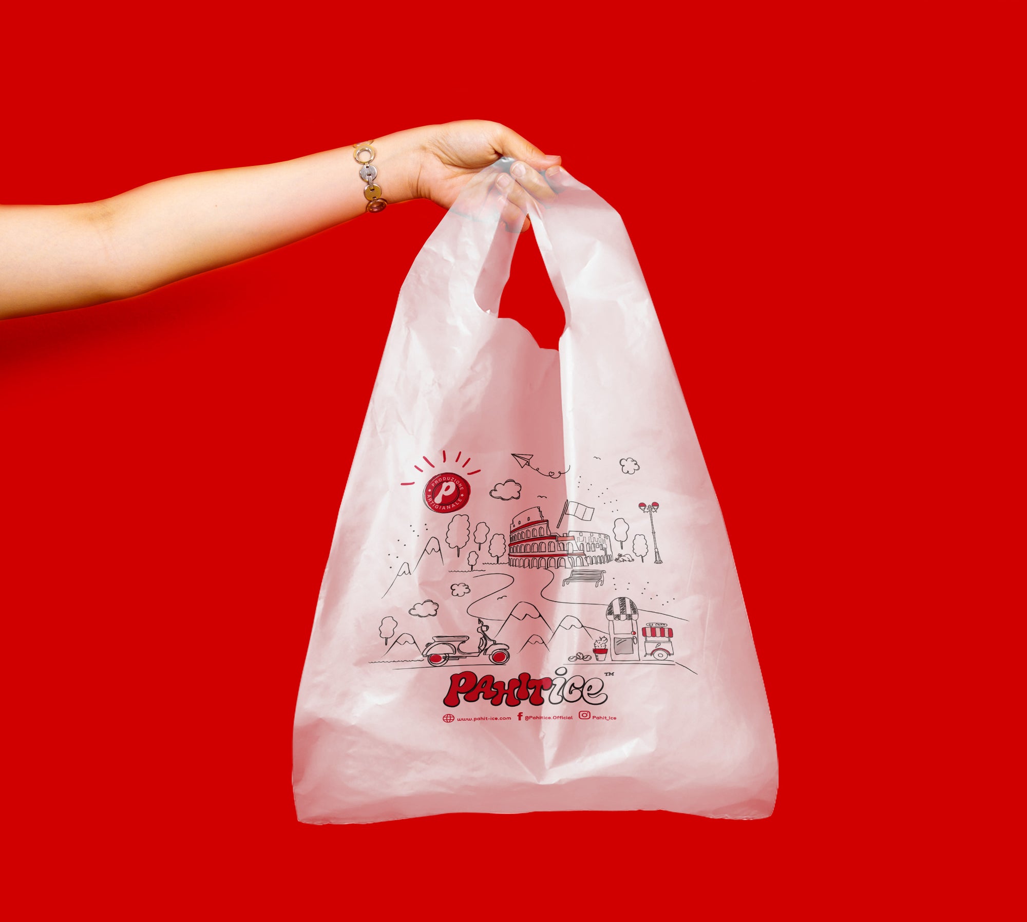 Nylon Take Away Reusable Bags Pahitice™
